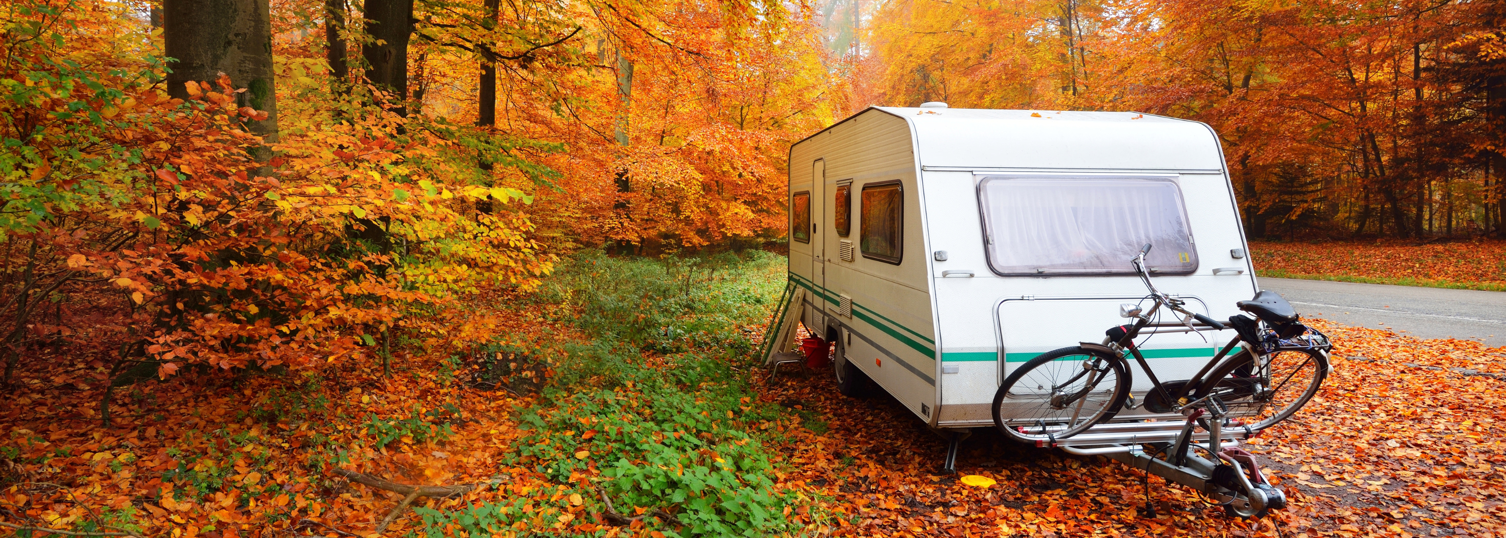 Wohnwagenanhänger mit Fahrrad geparkt in einem goldenen Buchenwald. Farbige rote, orangefarbene und gelbe Blätter auf dem Boden. Panorama Herbstlandschaft.